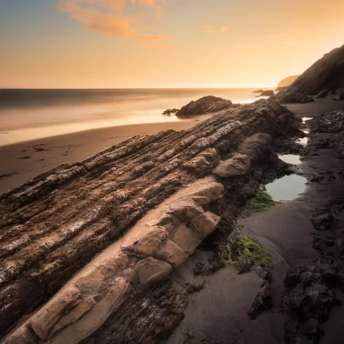 gaviota sunset