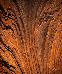 Side_Eye_by_J_K_Lovelace_with_watermark "Side Eye" - Limited Edition ChromaLuxe® Metal Wall Art 30" x 35"